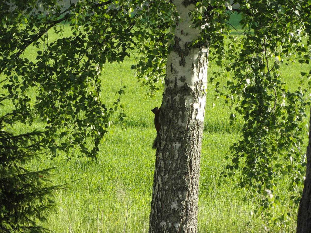 Kalliomajat Ylivalli Exterior foto